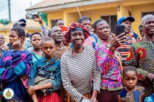 Suspected Female Kidnapper