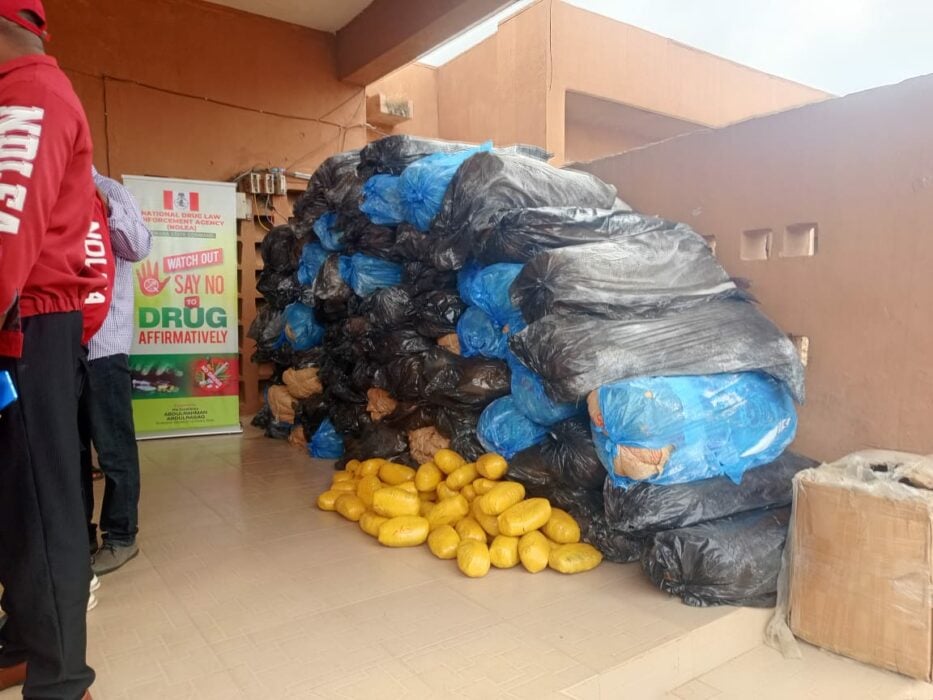 NDLEA Seizes Cannabis Worth Billions Of Naira In Kwara
