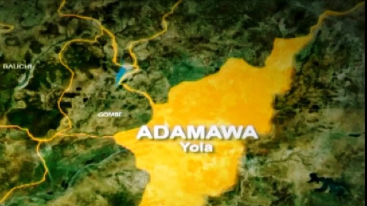 Adamawa pensioners begin verification, expect N8bn arrears pledged by Governor Fintiri
